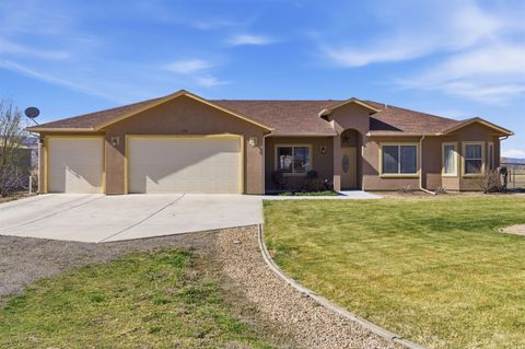 Photo of 1081 20 Road, Fruita, CO 81521 (MLS # 20261394)