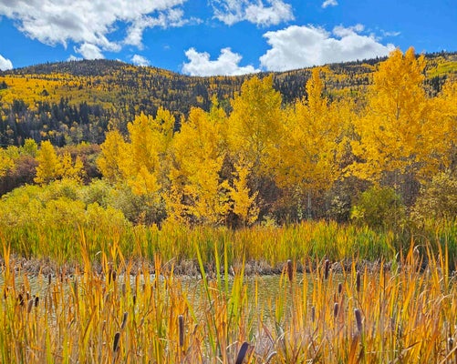 STATE HWY 65, MESA, CO 81643 - Image dcfff699abb0b961fb190ebe508aecc3/768246762