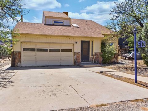 Photo of 913 Squire Court, Fruita, CO 81521 (MLS # 20262439)