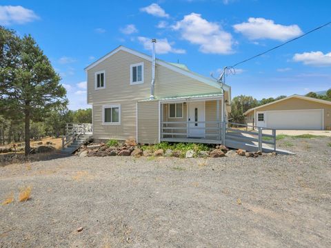Photo of 20931 Brimstone Road, Cedaredge, CO 81413 (MLS # 20263506)