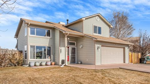 Photo of 256 Sargent Circle, Fruita, CO 81521 (MLS # 20261712)
