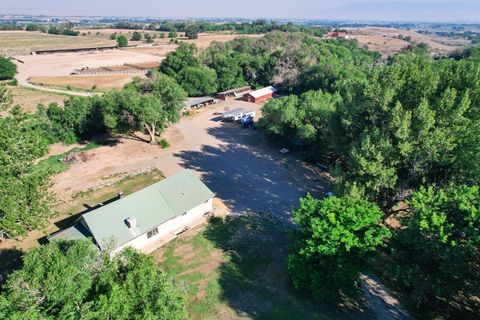 Photo of 7531 High Mesa Road, Olathe, CO 81425 (MLS # 20263213)