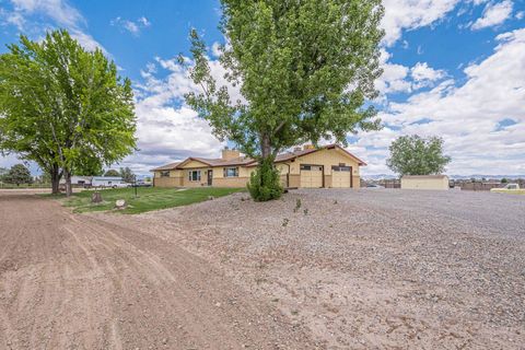 Photo of 1176 17 1/2 Road, Fruita, CO 81521 (MLS # 20262135)