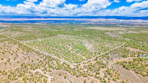 Photo of 61020 Tres Coyotes Trail, Montrose, CO 81403 (MLS # 20262286)