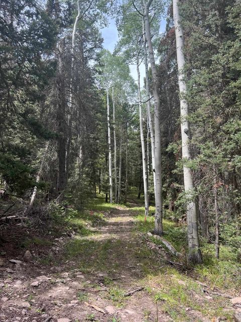 Photo of 427 Juniper Drive, Cimarron, CO 81220 (MLS # 20254365)