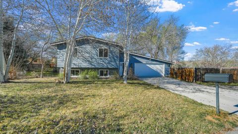 Photo of 527 Greenbelt Court, Grand Junction, CO 81507 (MLS # 20262039)