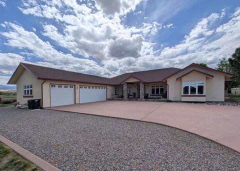 Photo of 66352 Riverside Road, Montrose, CO 81403 (MLS # 20261946)