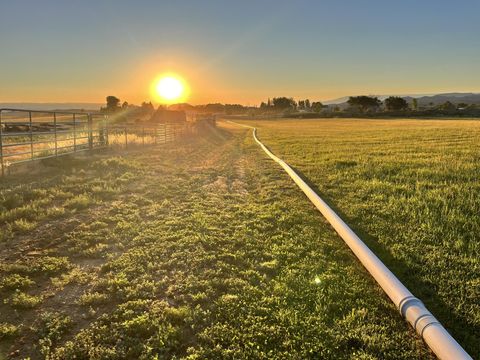 Photo of 69557 Highway 50, Montrose, CO 81401 (MLS # 20262390)