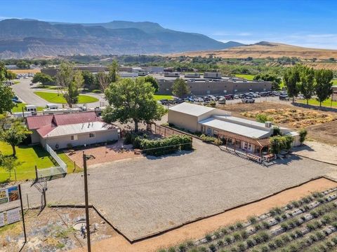 Photo of 3669 G Road, Palisade, CO 81526 (MLS # 20260090)