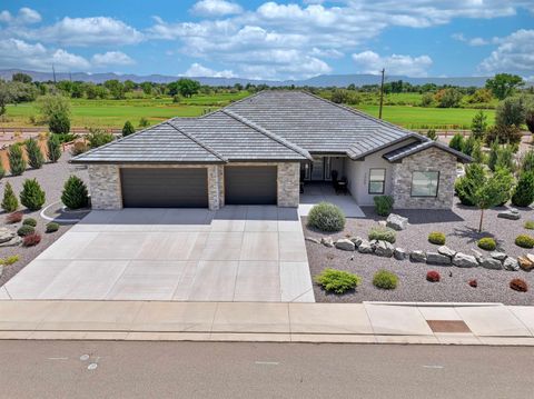 Photo of 1268 Adobe Falls Way, Fruita, CO 81521 (MLS # 20263471)