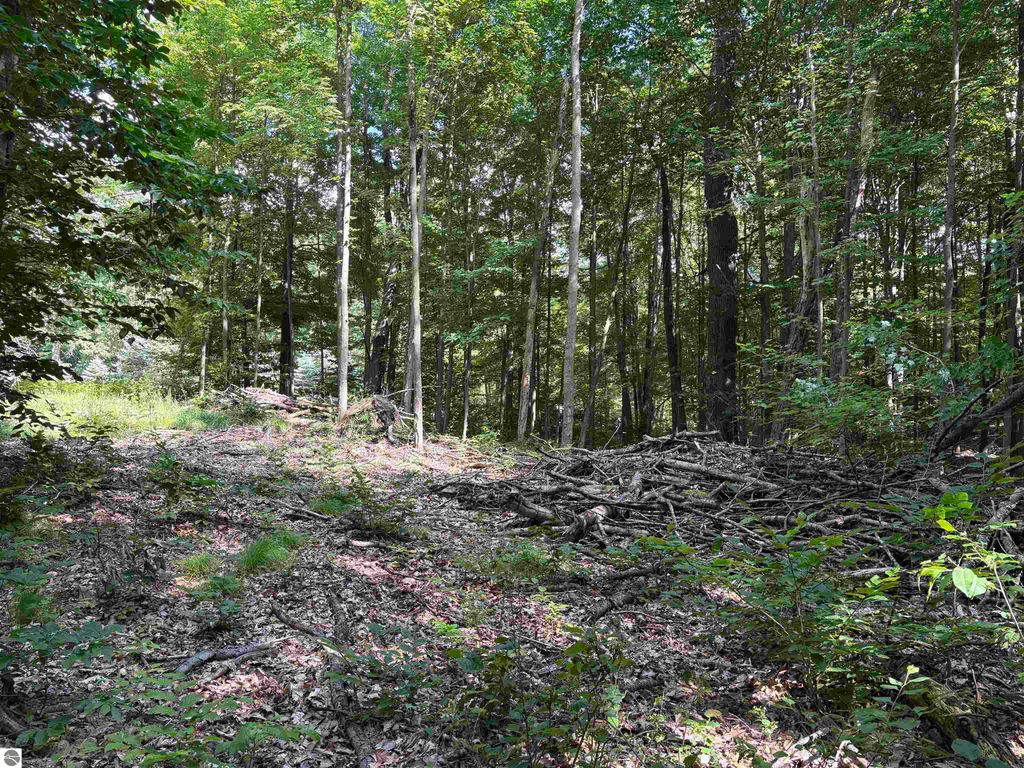 Photo of 116 Knoll One Drive, Leroy, MI 49655 (MLS # 1936233)