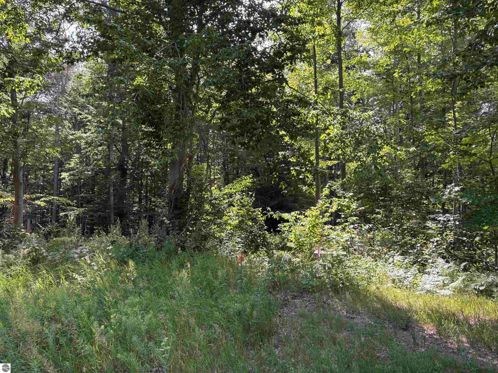 Photo of 116 Knoll One Drive, Leroy, MI 49655 (MLS # 1936233)