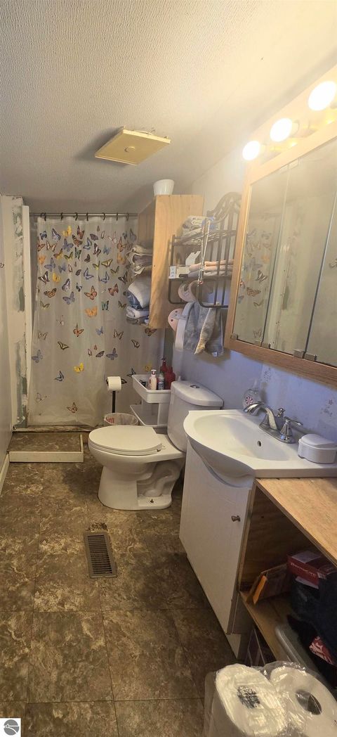 Tiny photo for 3990 N Ferris Road, Riverdale, MI 48877 (MLS # 1941325)