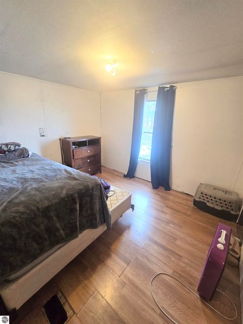 Tiny photo for 3990 N Ferris Road, Riverdale, MI 48877 (MLS # 1941325)