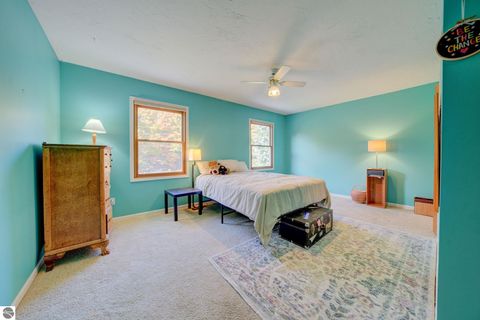 Tiny photo for 9144 E Hoxie Road, Cedar, MI 49621 (MLS # 1939848)
