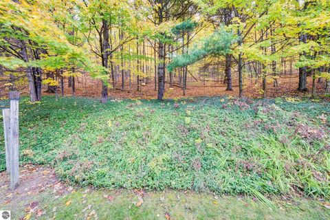 Tiny photo for 9144 E Hoxie Road, Cedar, MI 49621 (MLS # 1939848)