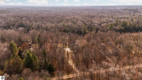 Tiny photo for 15445 Holly Drive, Thompsonville, MI 49683 (MLS # 1940886)