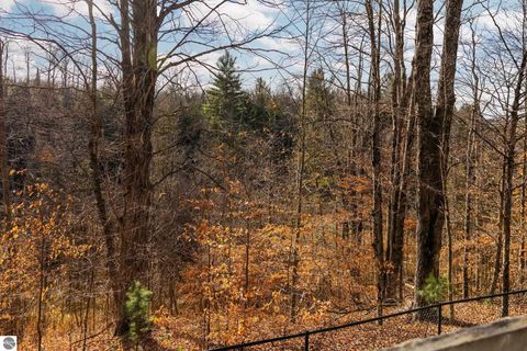 Tiny photo for 15445 Holly Drive, Thompsonville, MI 49683 (MLS # 1940886)