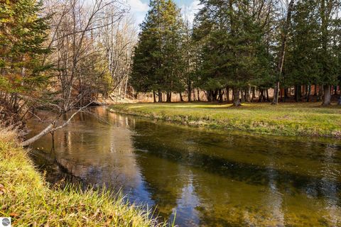 Tiny photo for 15445 Holly Drive, Thompsonville, MI 49683 (MLS # 1940886)