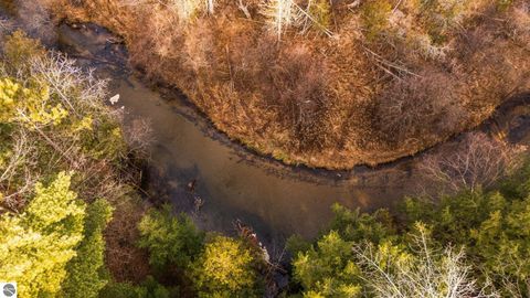 Tiny photo for 15445 Holly Drive, Thompsonville, MI 49683 (MLS # 1940886)