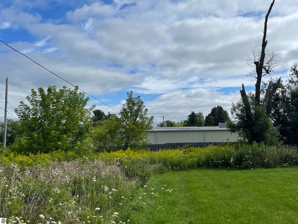 Photo of 3126 W Remus Road, Mt Pleasant, MI 48858 (MLS # 1938025)