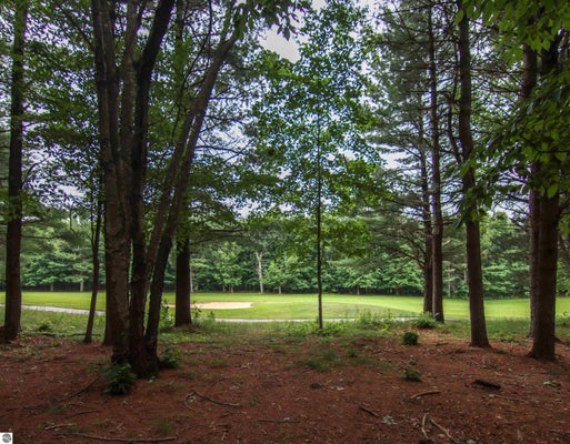 0000-UNIT 40 TRAILSIDE DRIVE, THOMPSONVILLE, MI 49683 - Image 04027ef8df6a89ef4d2e3bb13cbfd15a/615667961