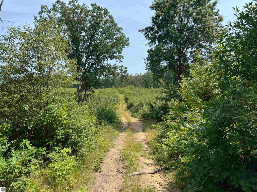 Photo of TBD Meredith Grade, Harrison, MI 48625 (MLS # 1937187)