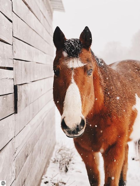 Tiny photo for 2526 Lake Ann Road, Interlochen, MI 49643 (MLS # 1941174)