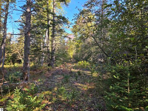 Tiny photo for 5971 E Point Road, Harrisville, MI 48740 (MLS # 1940093)