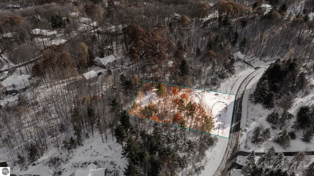 Photo of 9394 E Hoxie Road, Cedar, MI 49621 (MLS # 1940468)