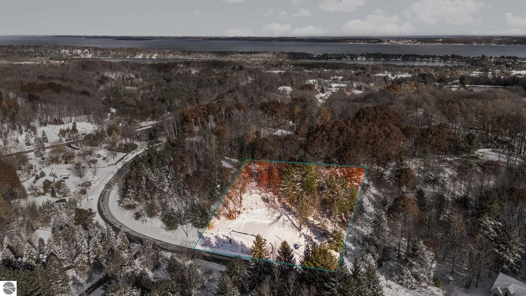 Photo of 9394 E Hoxie Road, Cedar, MI 49621 (MLS # 1940468)