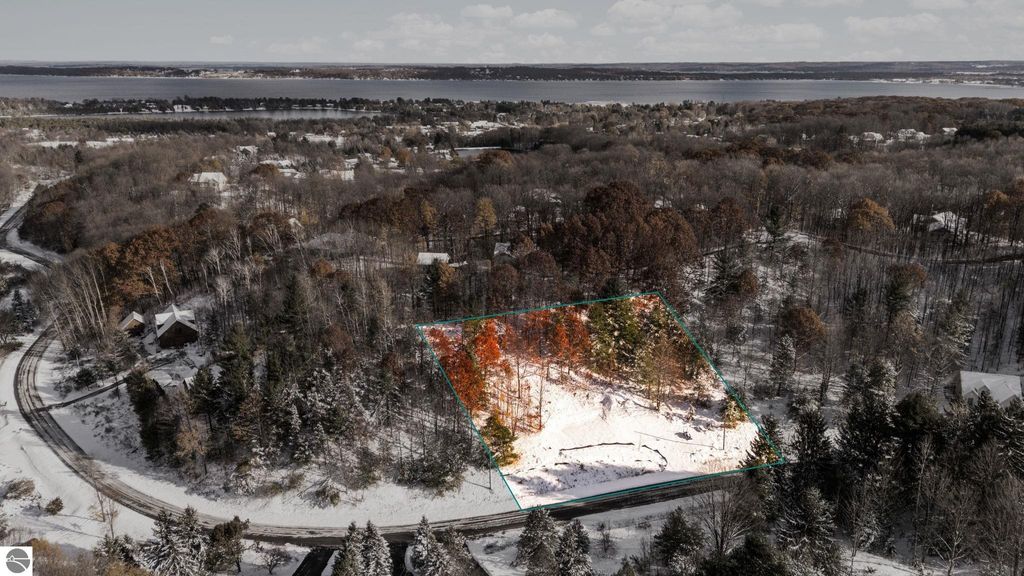 Photo of 9394 E Hoxie Road, Cedar, MI 49621 (MLS # 1940468)