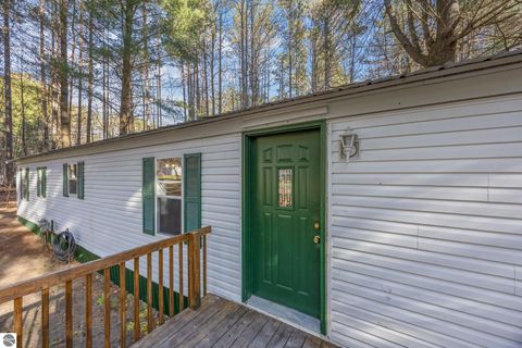 Tiny photo for 8401 Independence Avenue, Cadillac, MI 49601 (MLS # 1940767)