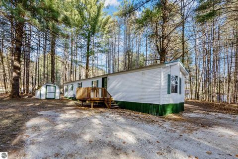 Tiny photo for 8401 Independence Avenue, Cadillac, MI 49601 (MLS # 1940767)