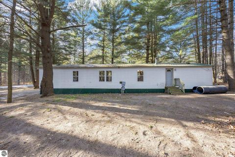 Tiny photo for 8401 Independence Avenue, Cadillac, MI 49601 (MLS # 1940767)