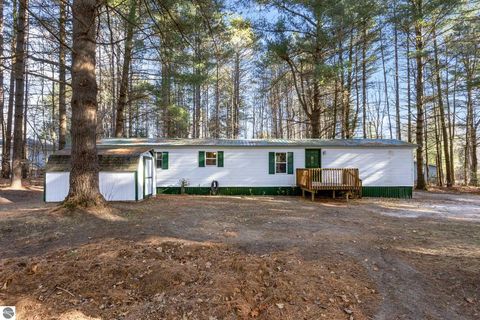 Tiny photo for 8401 Independence Avenue, Cadillac, MI 49601 (MLS # 1940767)