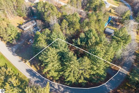 Tiny photo for 8401 Independence Avenue, Cadillac, MI 49601 (MLS # 1940767)