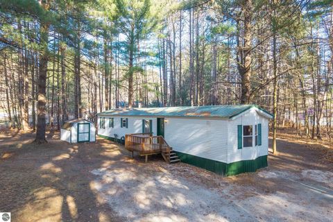 Tiny photo for 8401 Independence Avenue, Cadillac, MI 49601 (MLS # 1940767)