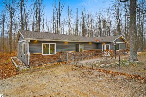 Tiny photo for 8784 M-66, Fife Lake, MI 49633 (MLS # 1940794)
