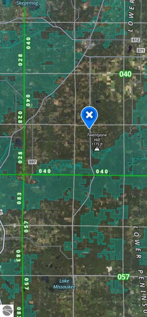 Tiny photo for 8784 M-66, Fife Lake, MI 49633 (MLS # 1940794)