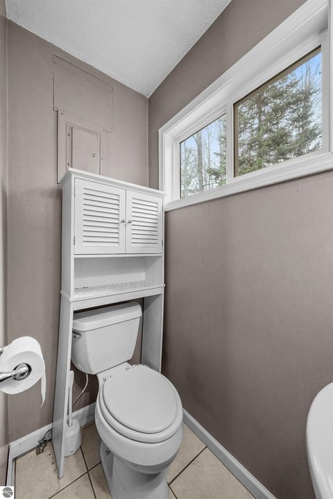 Tiny photo for 8784 M-66, Fife Lake, MI 49633 (MLS # 1940794)