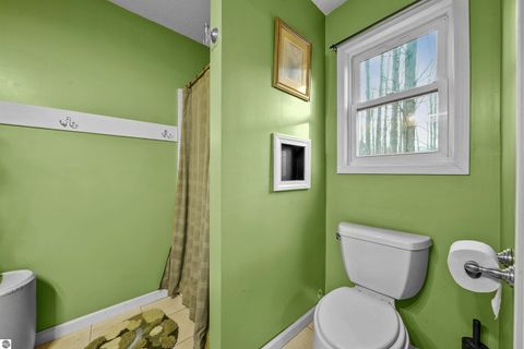 Tiny photo for 8784 M-66, Fife Lake, MI 49633 (MLS # 1940794)