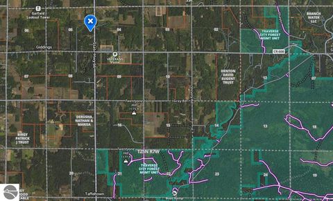 Tiny photo for 8784 M-66, Fife Lake, MI 49633 (MLS # 1940794)