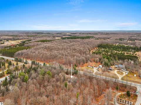 Tiny photo for 8784 M-66, Fife Lake, MI 49633 (MLS # 1940794)