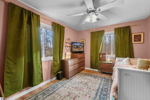 Tiny photo for 8784 M-66, Fife Lake, MI 49633 (MLS # 1940794)