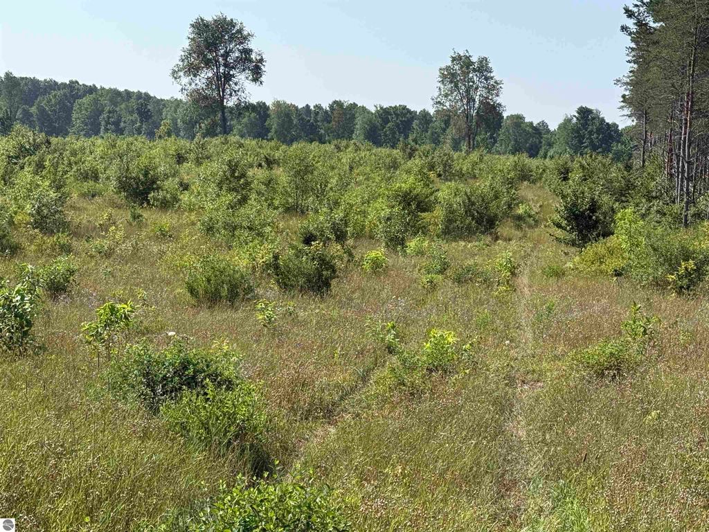 Photo of 1 E Kasson Road, Maple City, MI 49664 (MLS # 1940367)