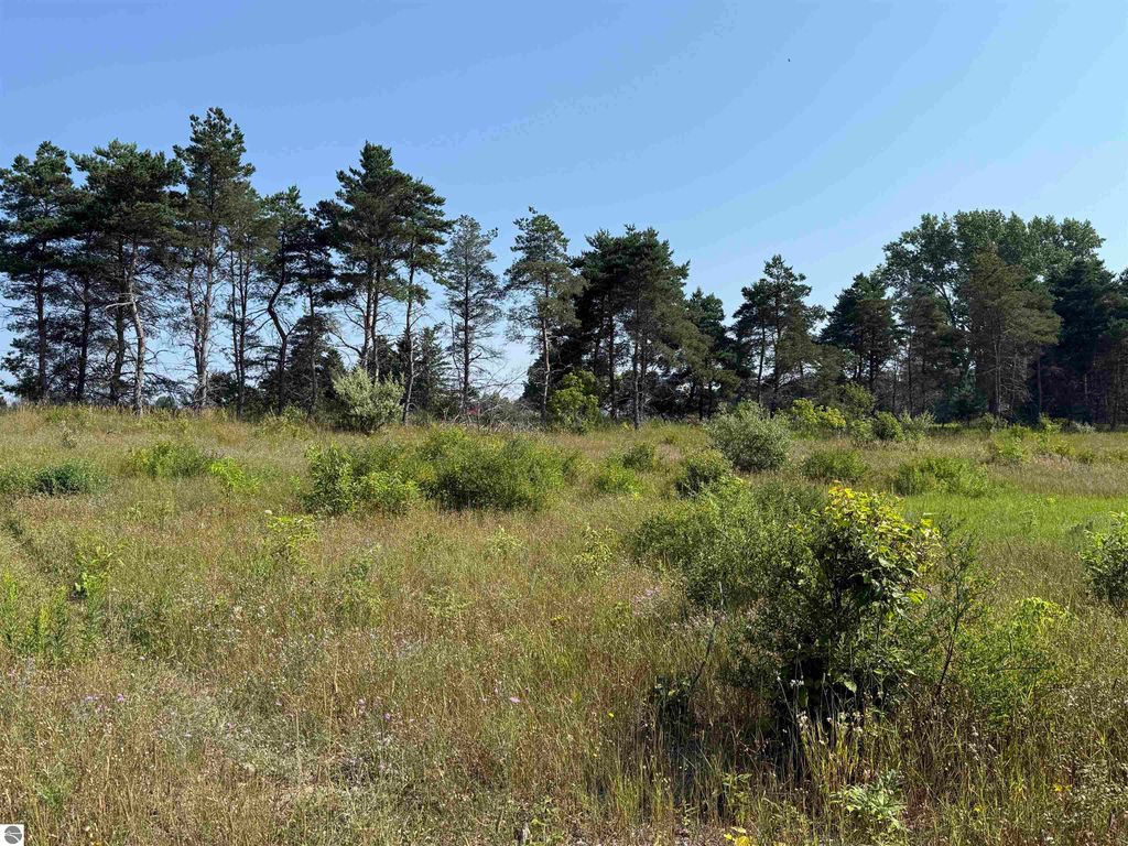 Photo of 1 E Kasson Road, Maple City, MI 49664 (MLS # 1940367)