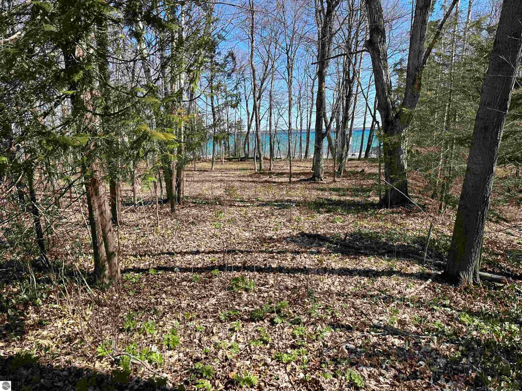 Photo of TBD Beaver Island Road, Beaver Island, MI 49782 (MLS # 1930433)