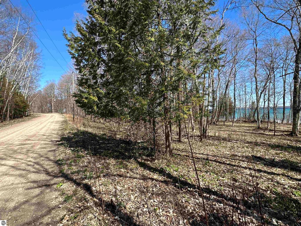 Photo of TBD Beaver Island Road, Beaver Island, MI 49782 (MLS # 1930433)