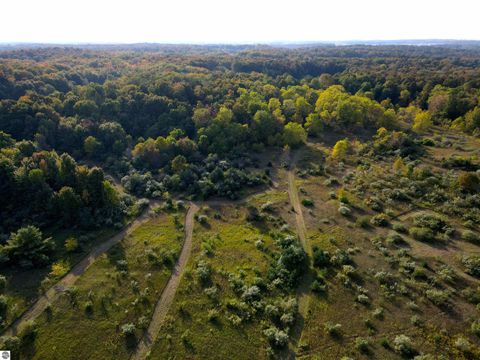 Tiny photo for 10981 S Tower Road, Maple City, MI 49664 (MLS # 1939417)